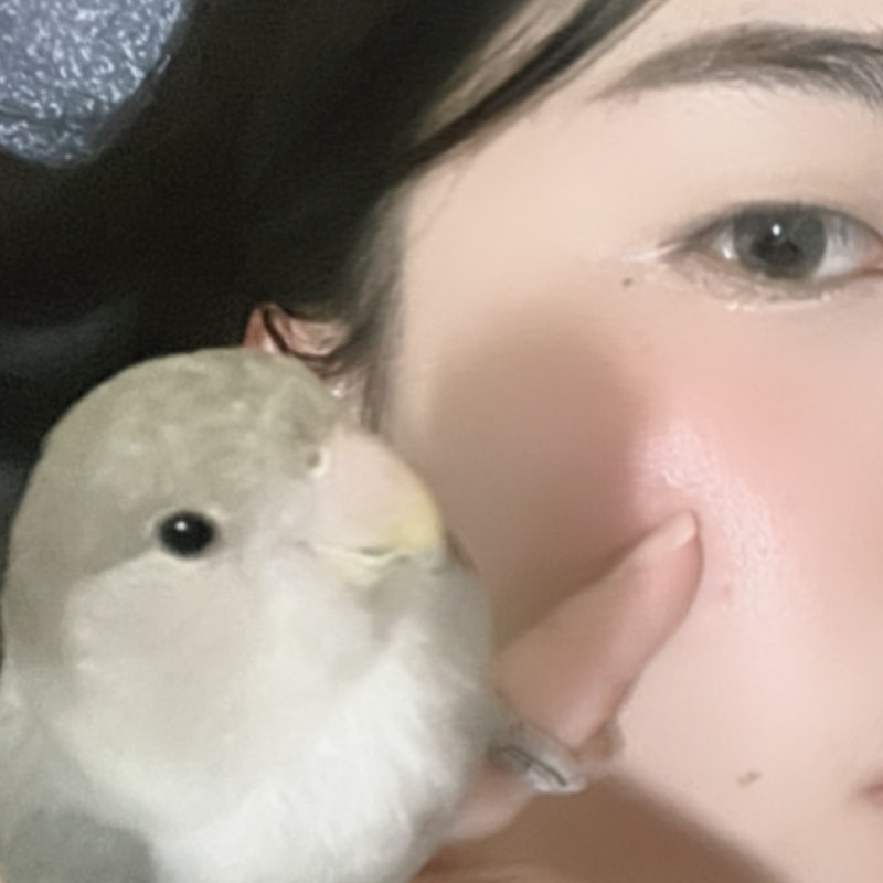 中港 行銷 廖詩語