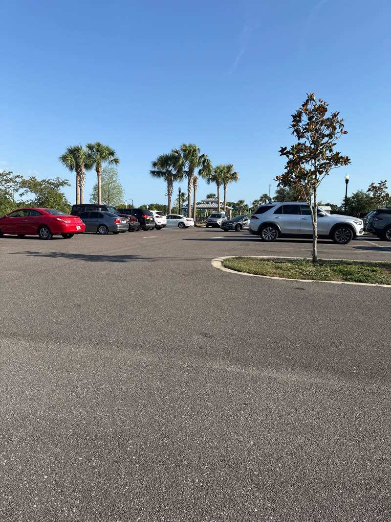 walking near me in Carrollwood Villiage Park in spring