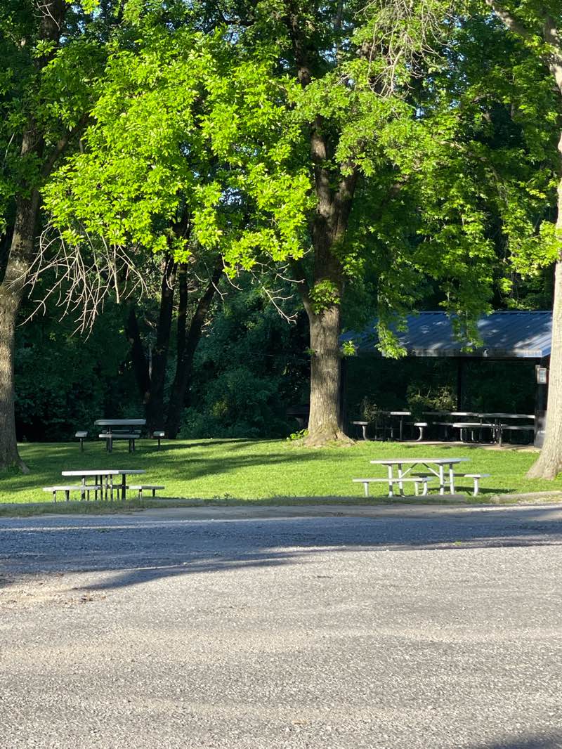 walking near me in Citizen's Park in spring