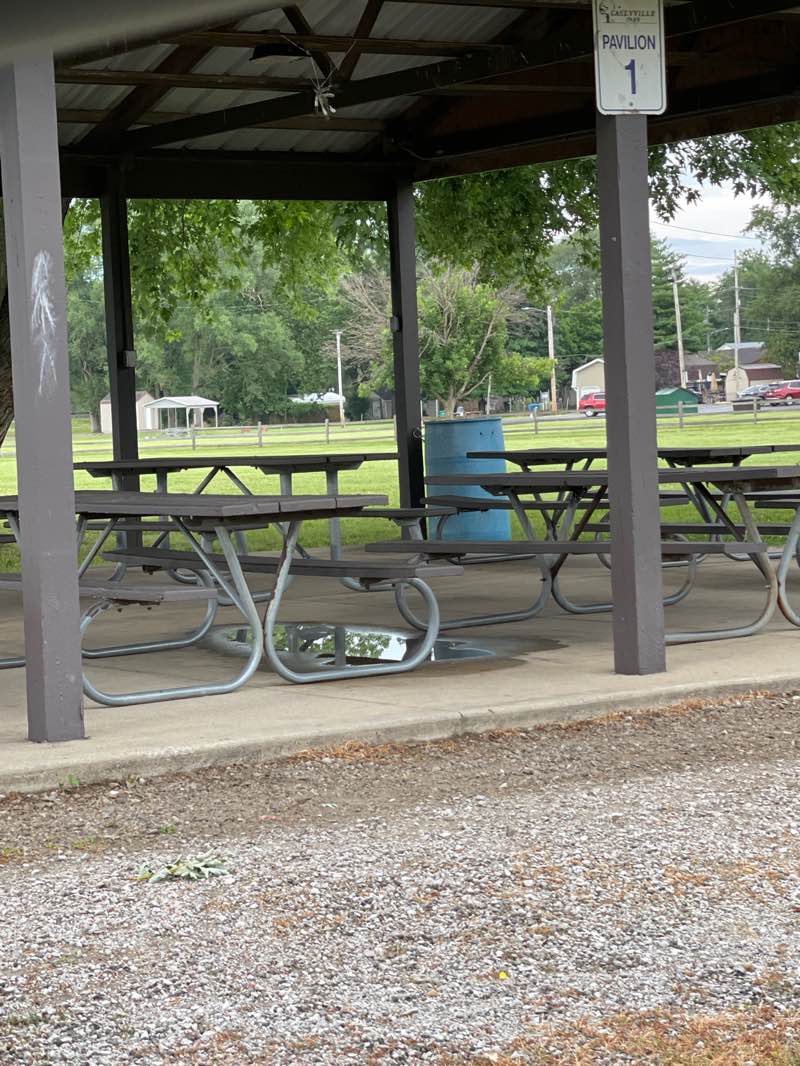 walking near me in Village of Caseyville Park in summer