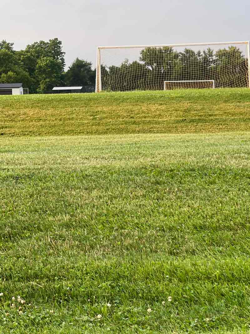 walking near me in School Track in summer