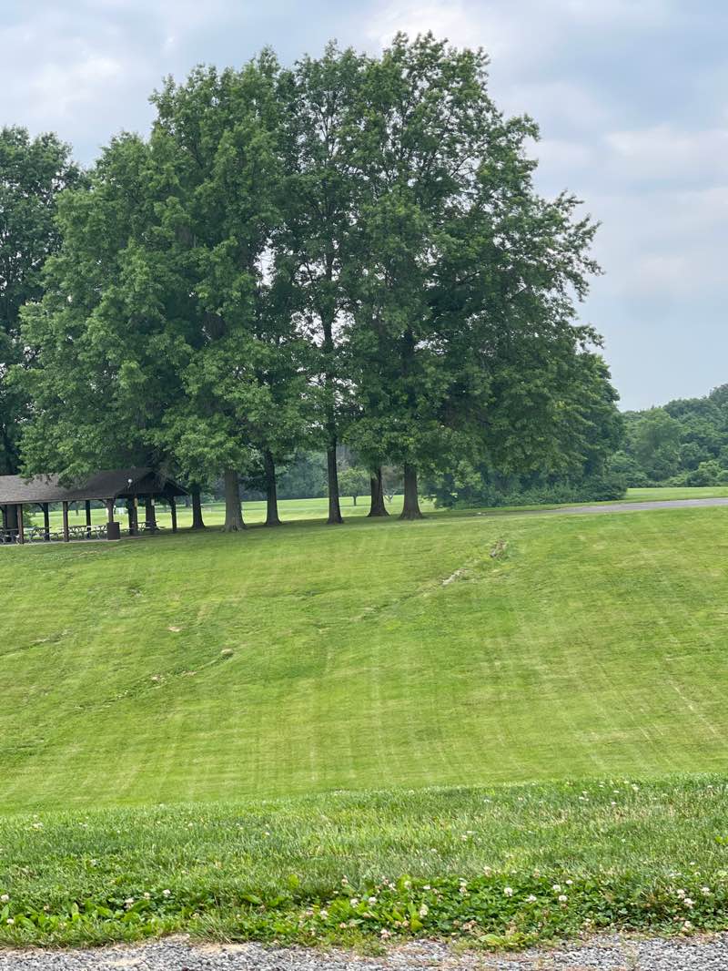 walking near me in Pleasant Ridge Park in summer