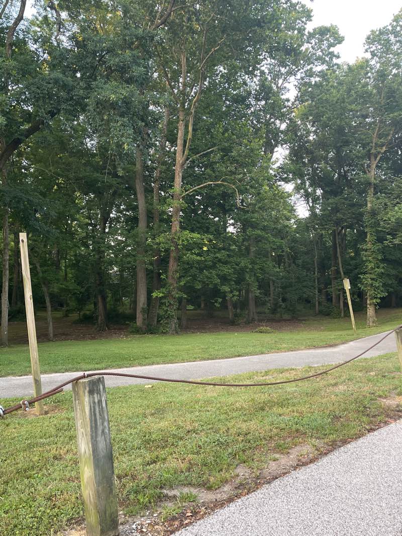 walking near me in Centenial Park in summer