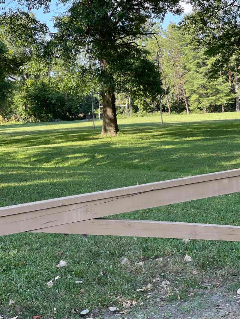 walking near me in North End Park in summer