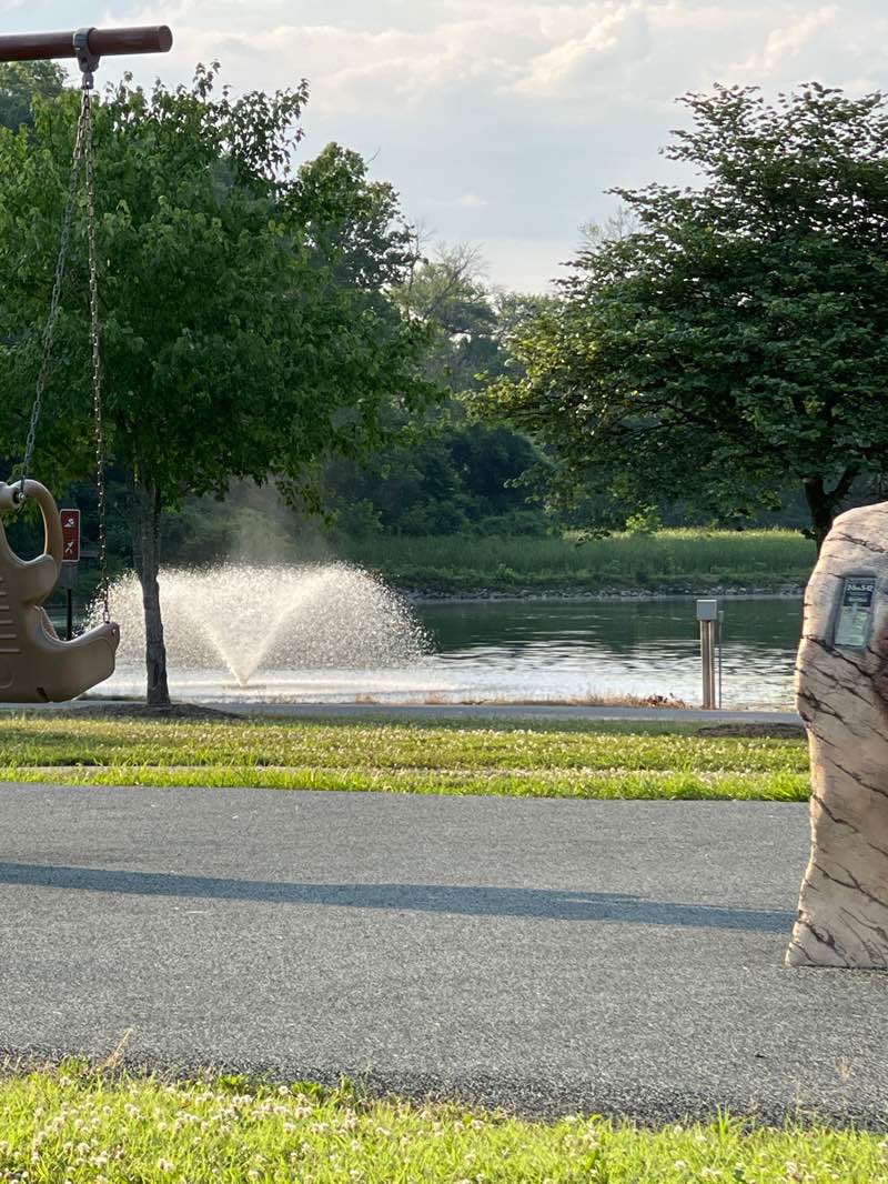 walking near me in Bicentennial Park in summer