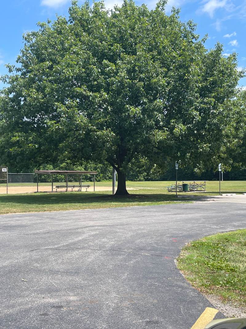 walking near me in Hesse Park in summer