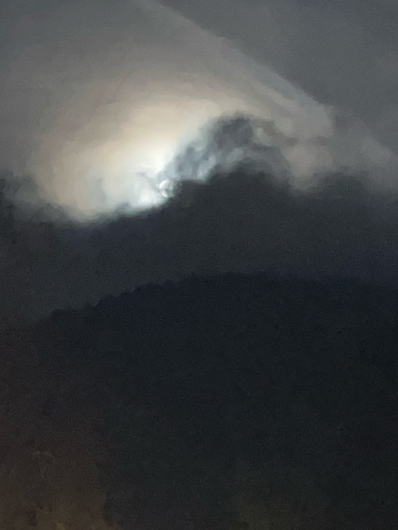 walking near me in Werderplatz in winter