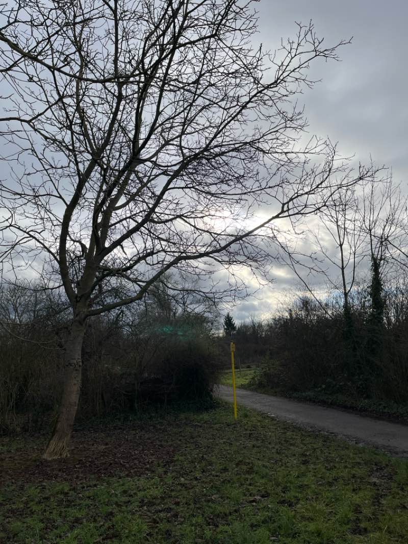 walking near me in John-Benjamin-Graham-Park in winter