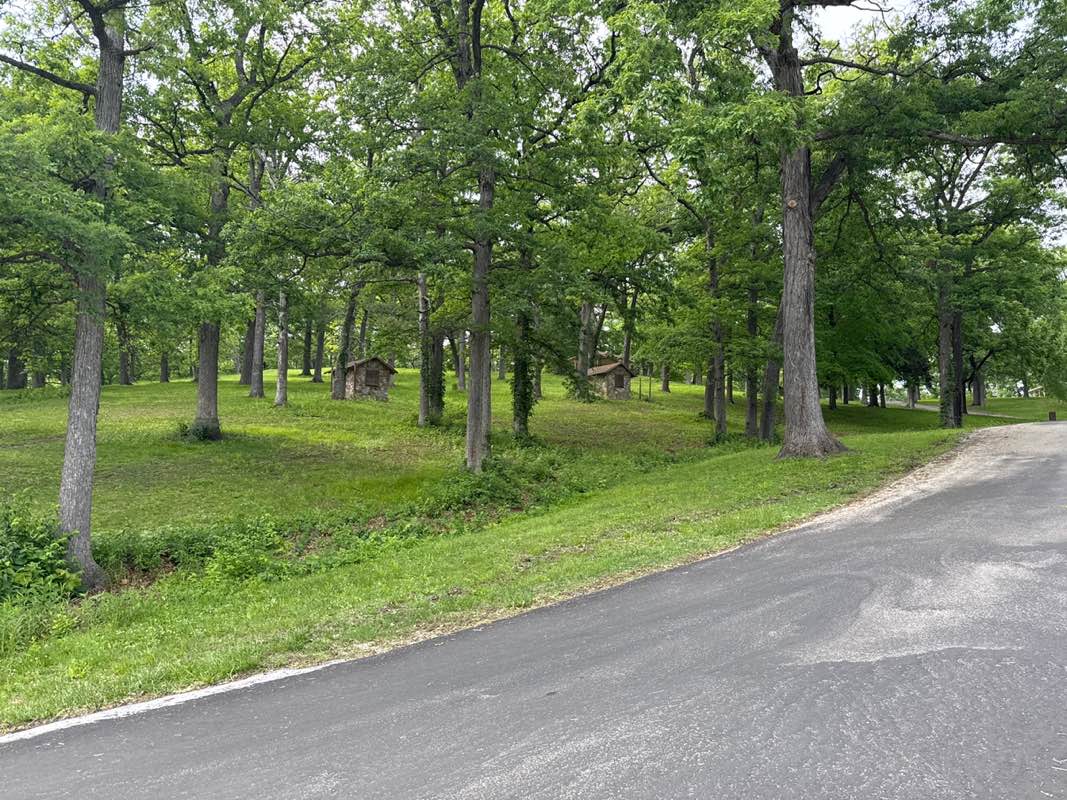 walking near me in Devils Glen Park in summer