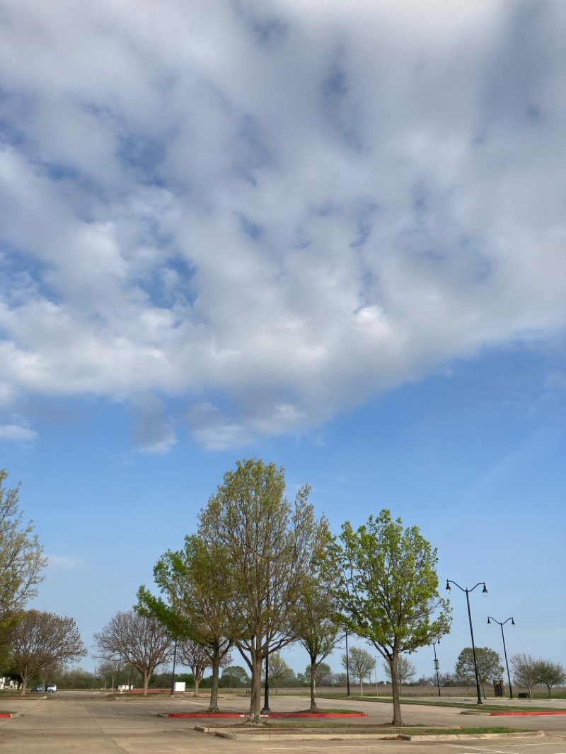walking near me in Harold Bacchus Community Park in spring