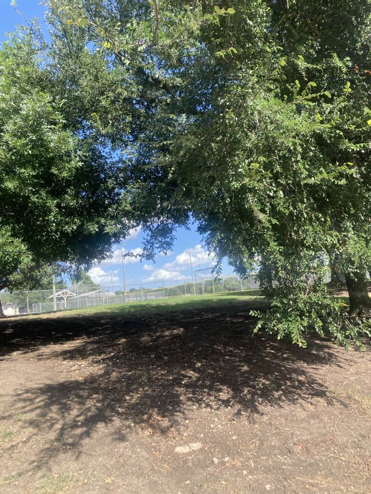 walking near me in Warren Sports Complex in summer