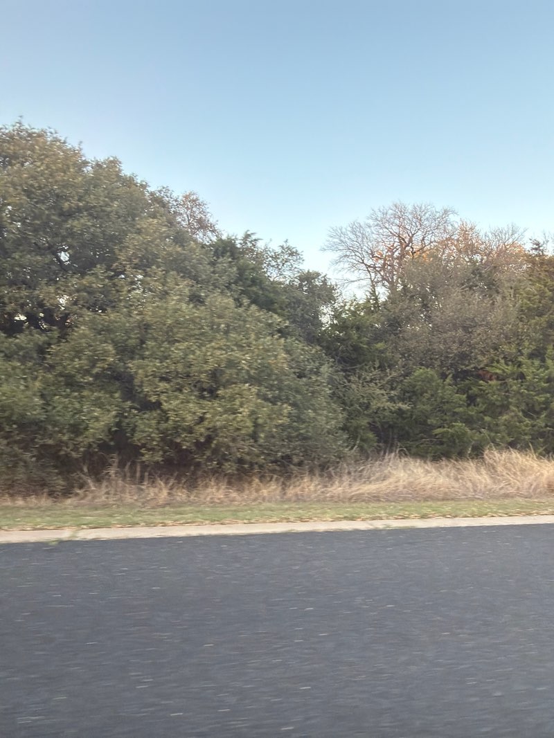 walking near me in Southwest Regional Park and Preserve in spring