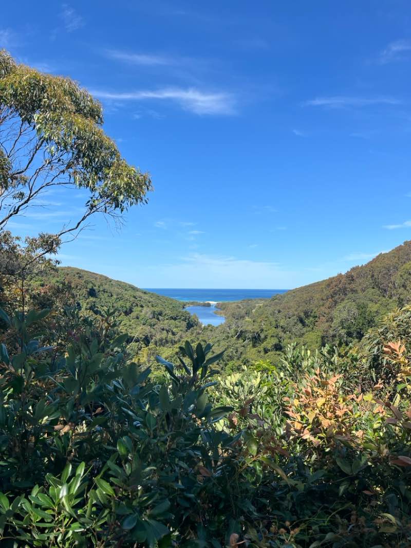walking near me in Glenrock State Conservation Area in summer