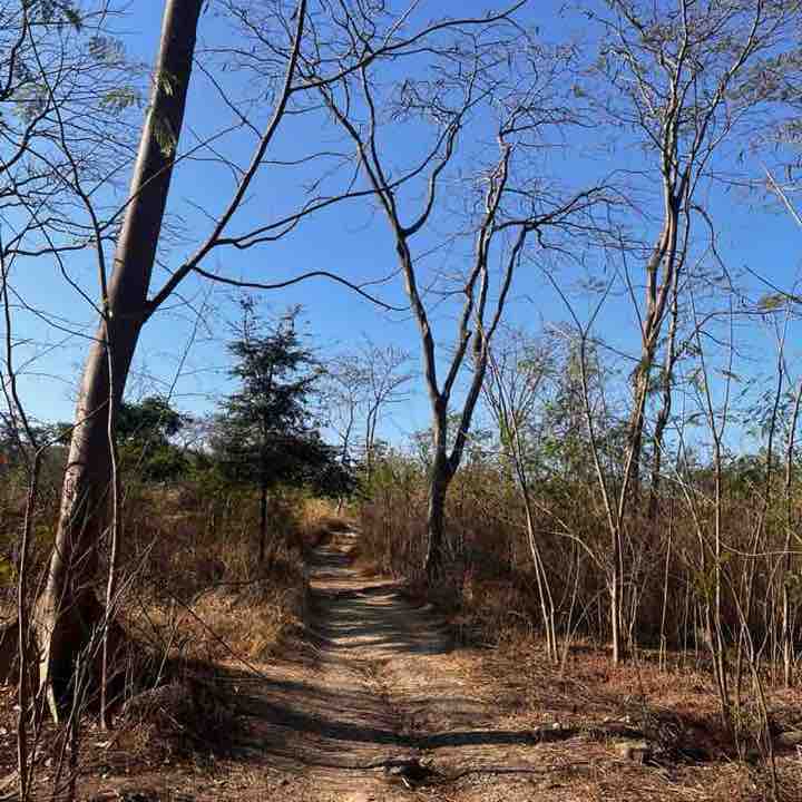 Amod Pachhapurkar post 1