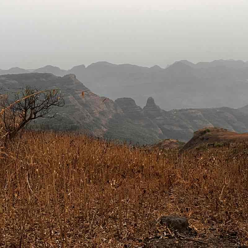 Amod Pachhapurkar post 1