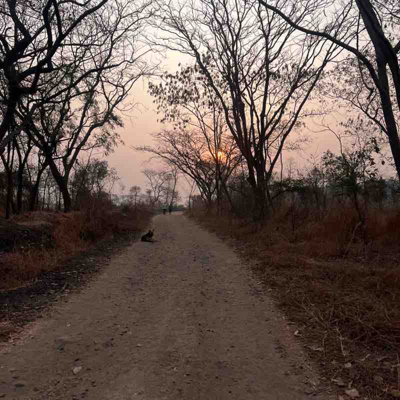 Amod Pachhapurkar post 1