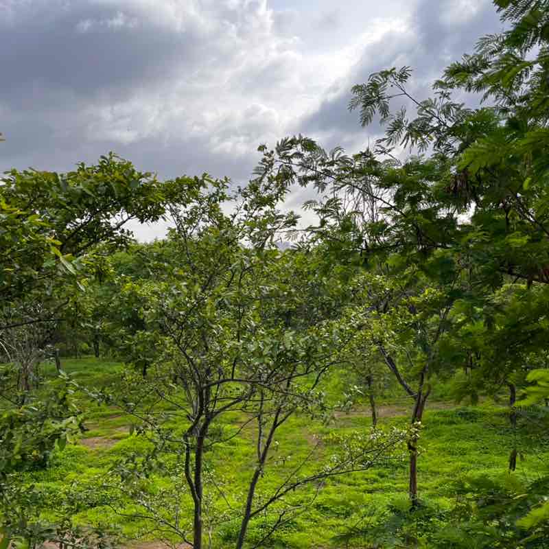 Amod Pachhapurkar post 1