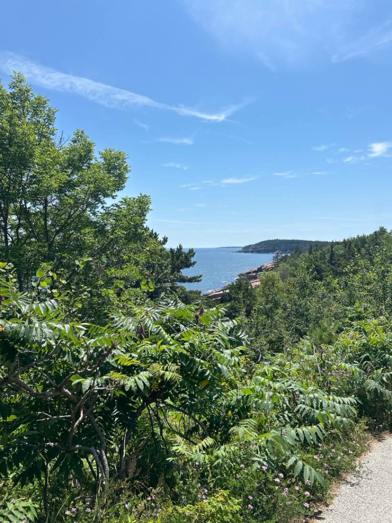 walking near me in Acadia National Park in autumn