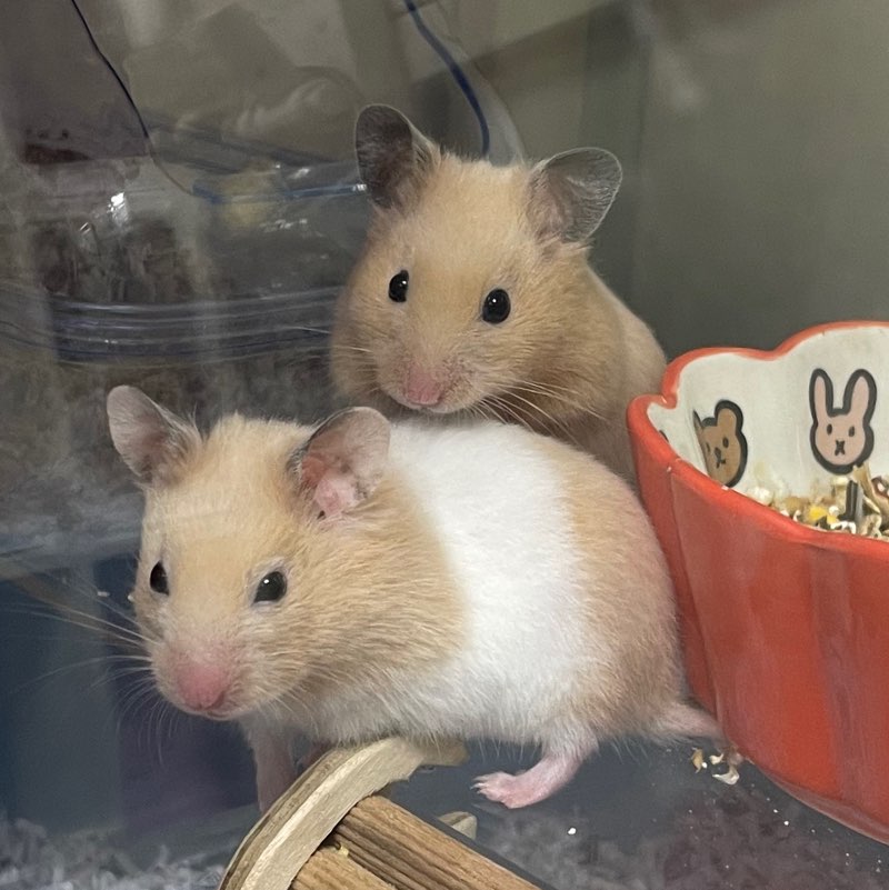 A4店舖管理 吳少強 profile