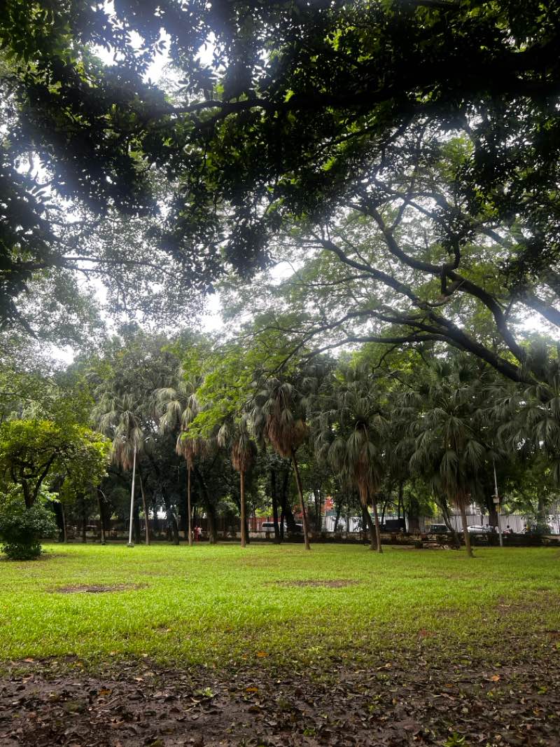 walking near me in Suhrawardy Udyan in winter