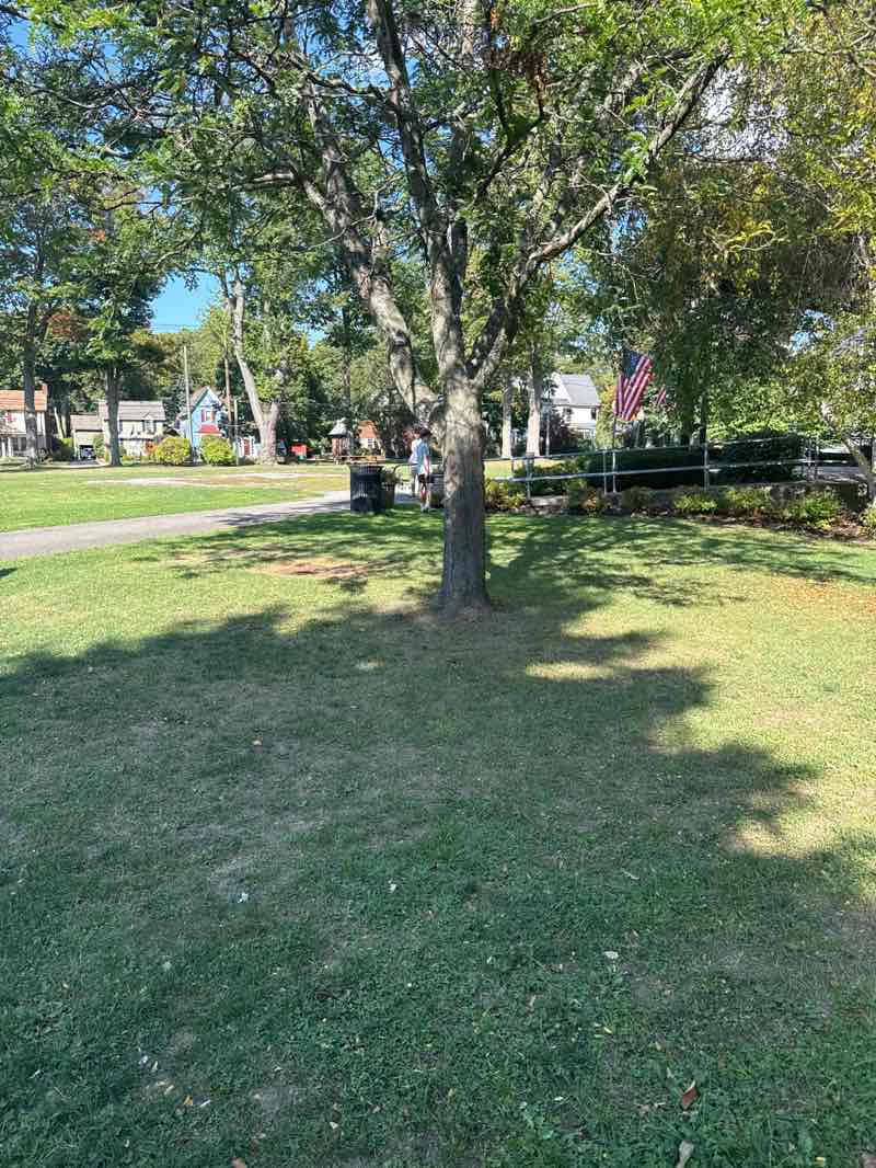 walking near me in Hamburg Memorial Park in autumn