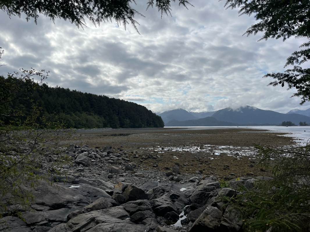 walking near me in Sitka National Historical Park in spring