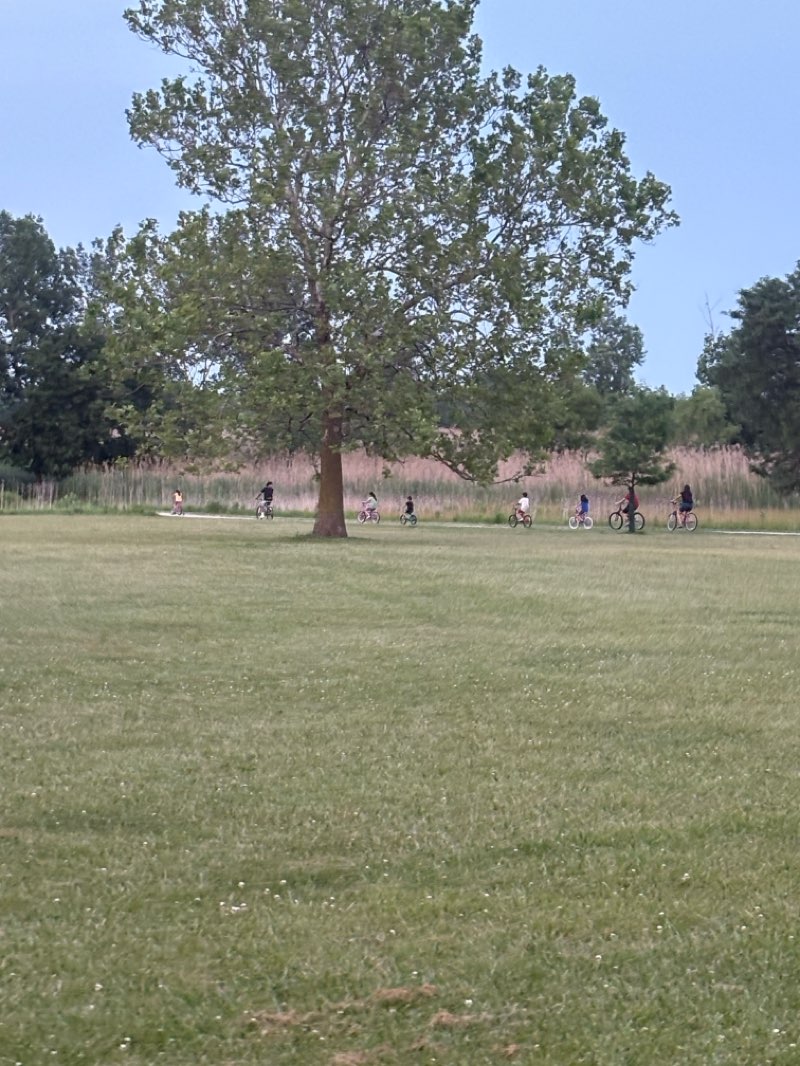 walking near me in Miller Meadow in summer
