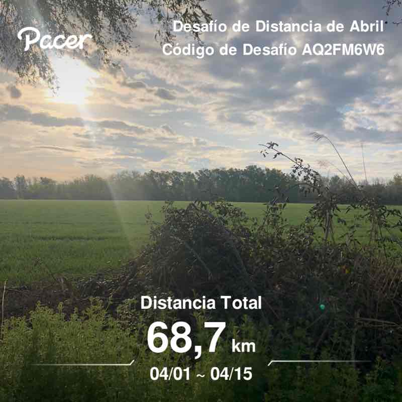 Arauz Abi Ochoa post 1