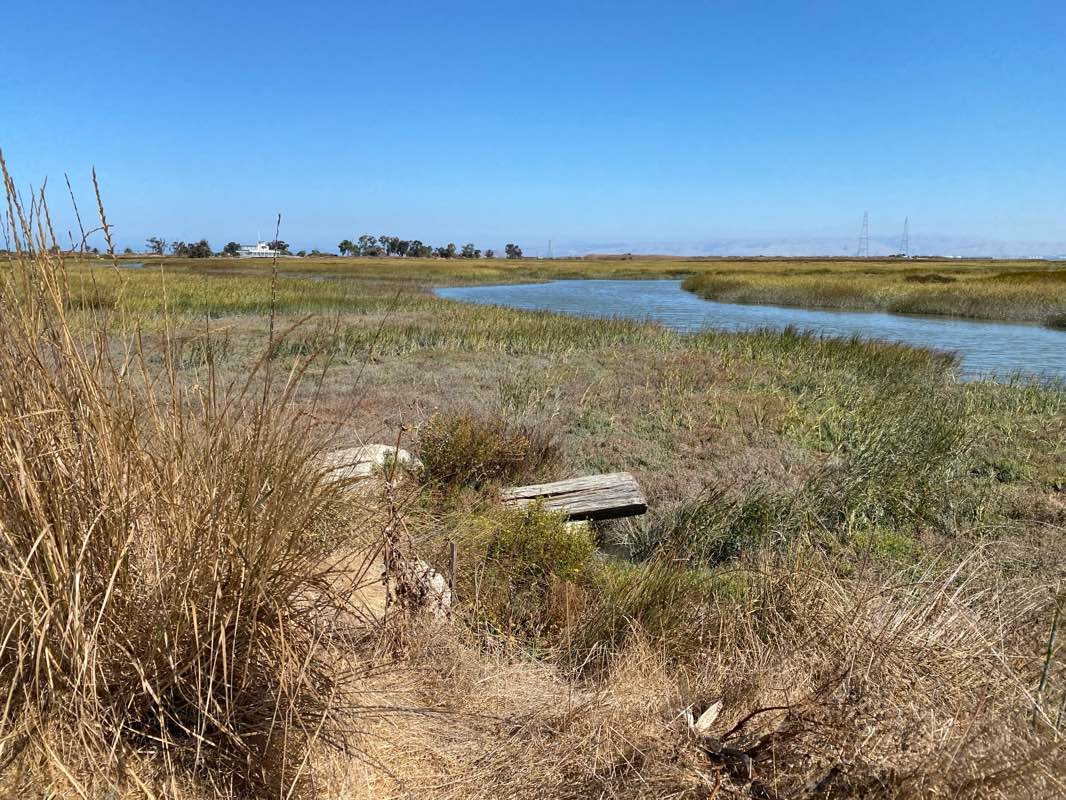 walking near me in Byxbee Park in winter