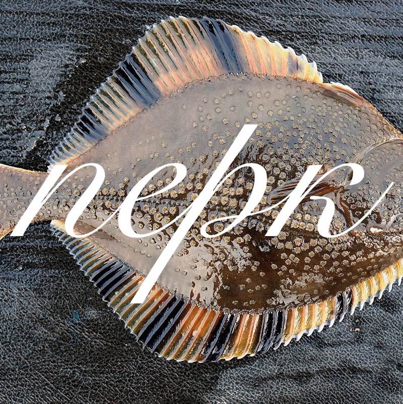 Андрей Проваторов