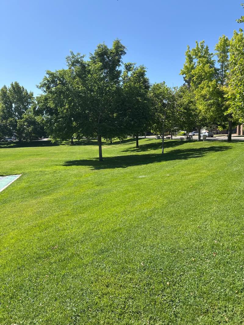 walking near me in Blue Oak Park in spring