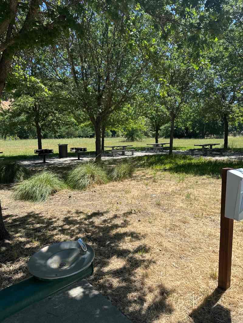 walking near me in Stonesbridge Park in spring