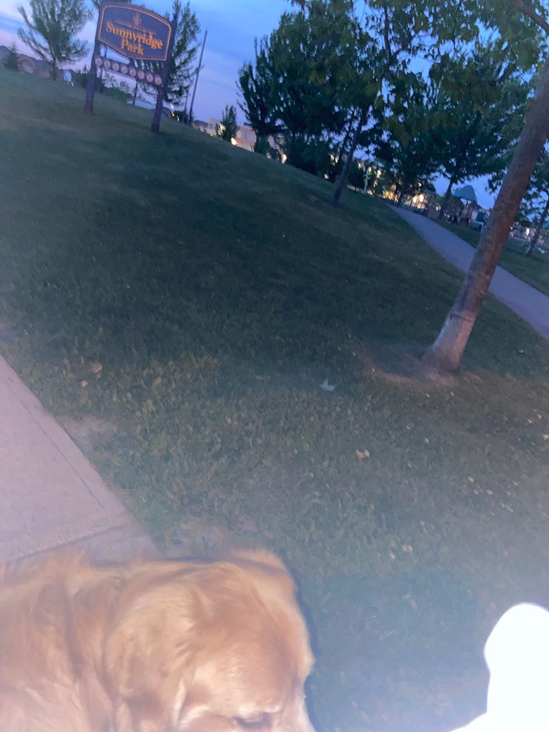 walking near me in Sunnyridge Park in summer