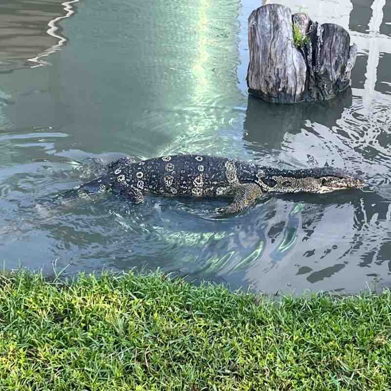 ClaynoFit Challenge SeeMePassU post image