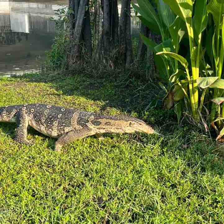 ClaynoFit Challenge SeeMePassU post image