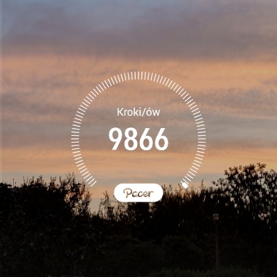 s.dziecielski post 1