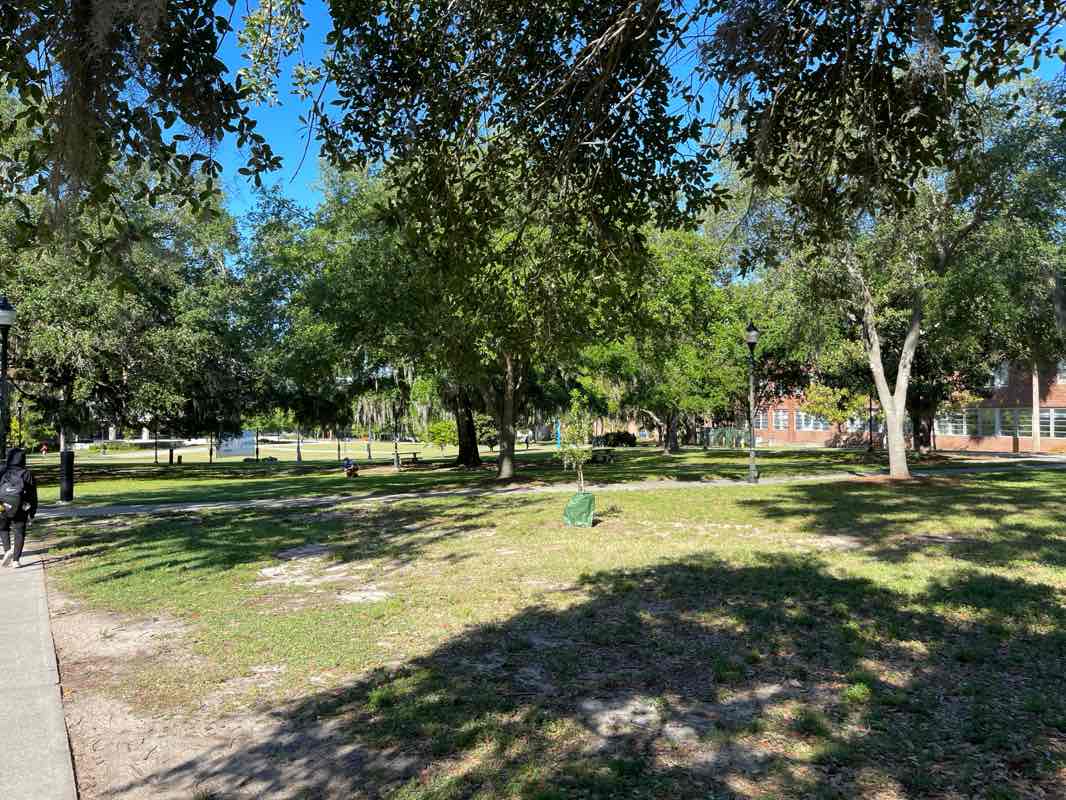 walking near me in Reitz Union North Lawn in spring