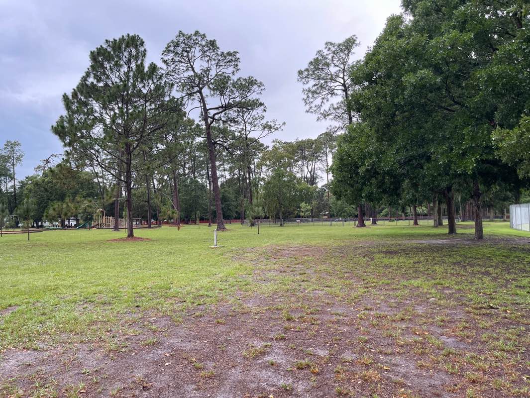 walking near me in Tom Petty Park in summer