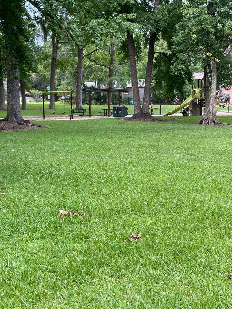 walking near me in Oakview Park in summer
