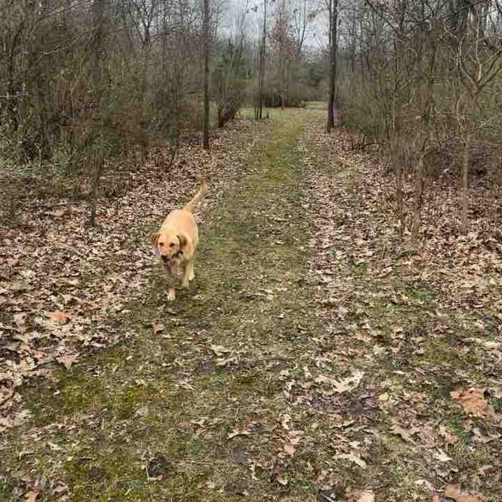 Kristin Havenaar post 1