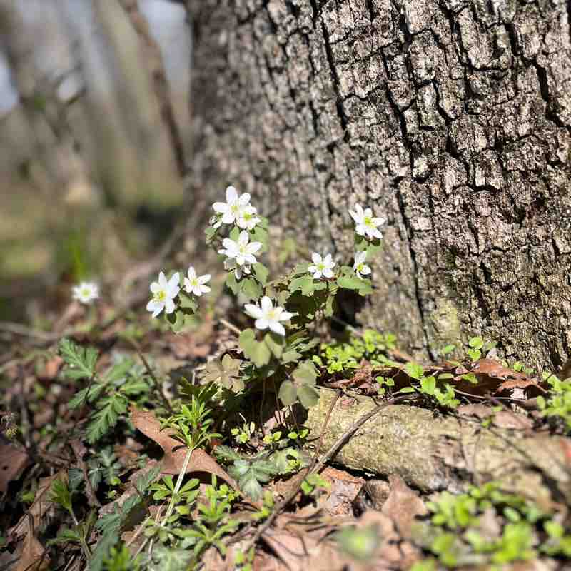 Kristin Havenaar post 1