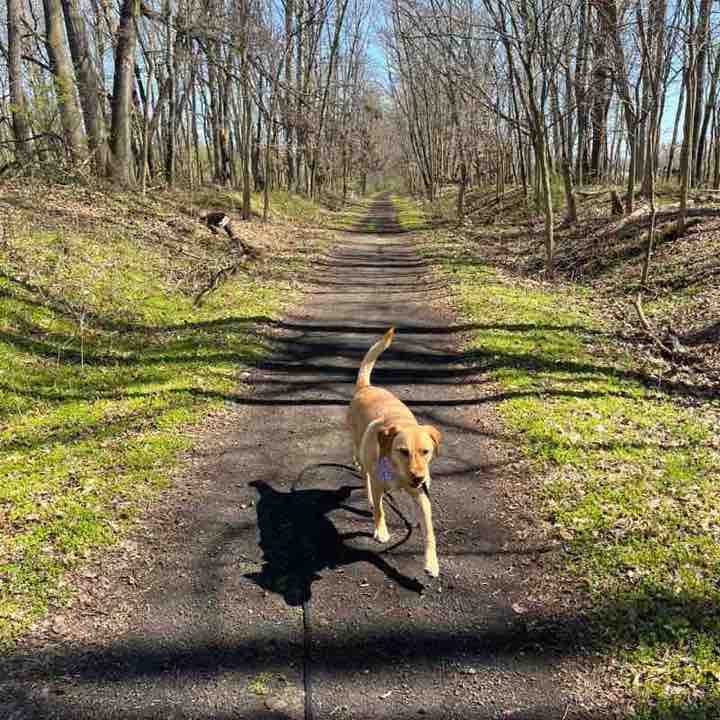 Kristin Havenaar post 2