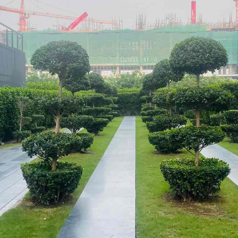 Tushar Upadhyay post 2