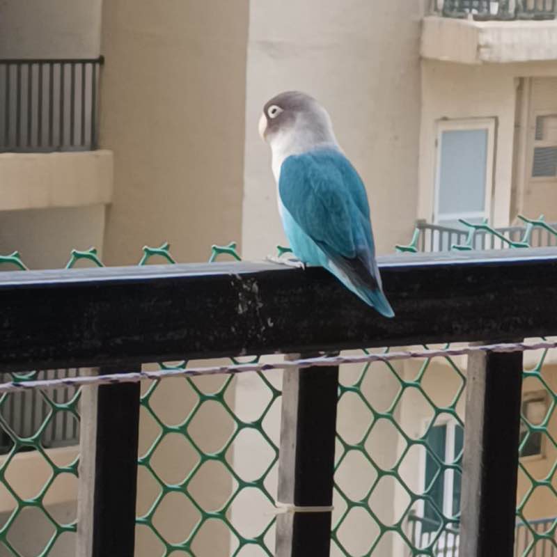 Tushar Upadhyay post 2