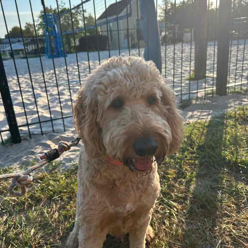 Maria McPherson post 1