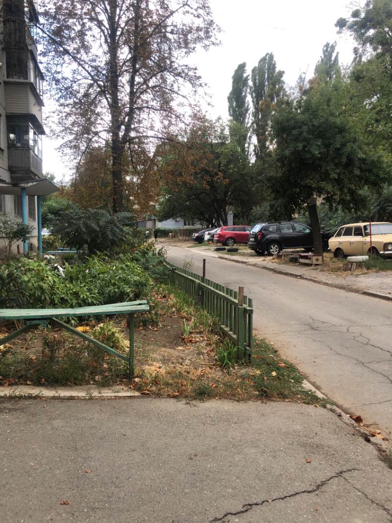 walking near me in Сонячний парк in winter
