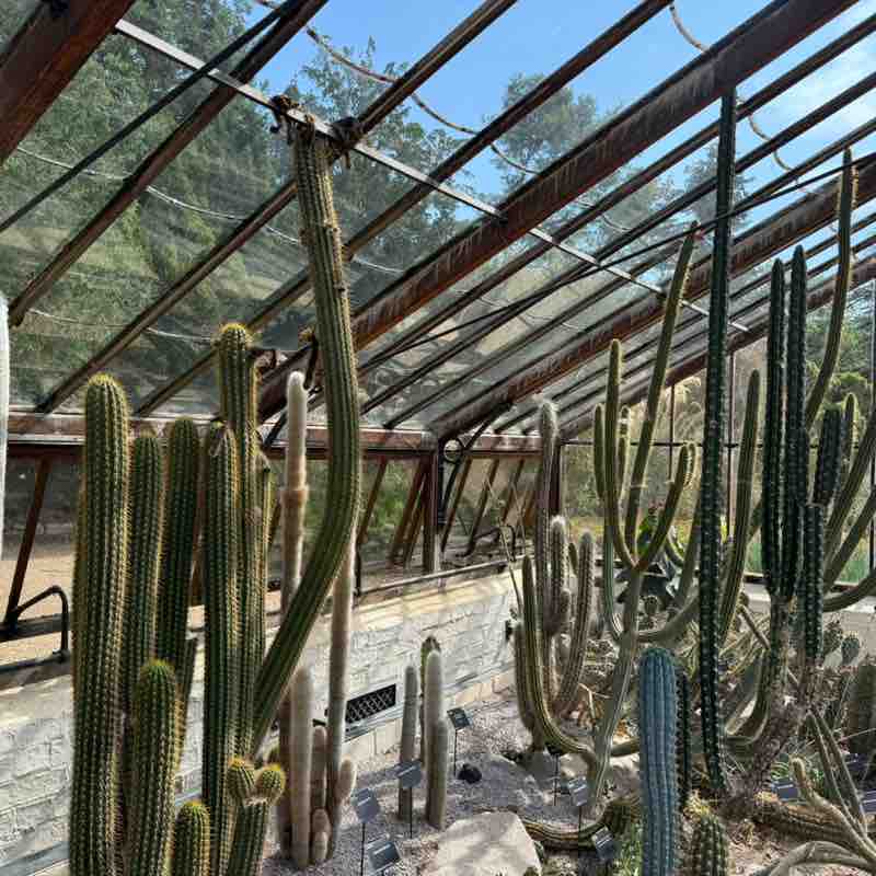 Anna Valsamaki post 3