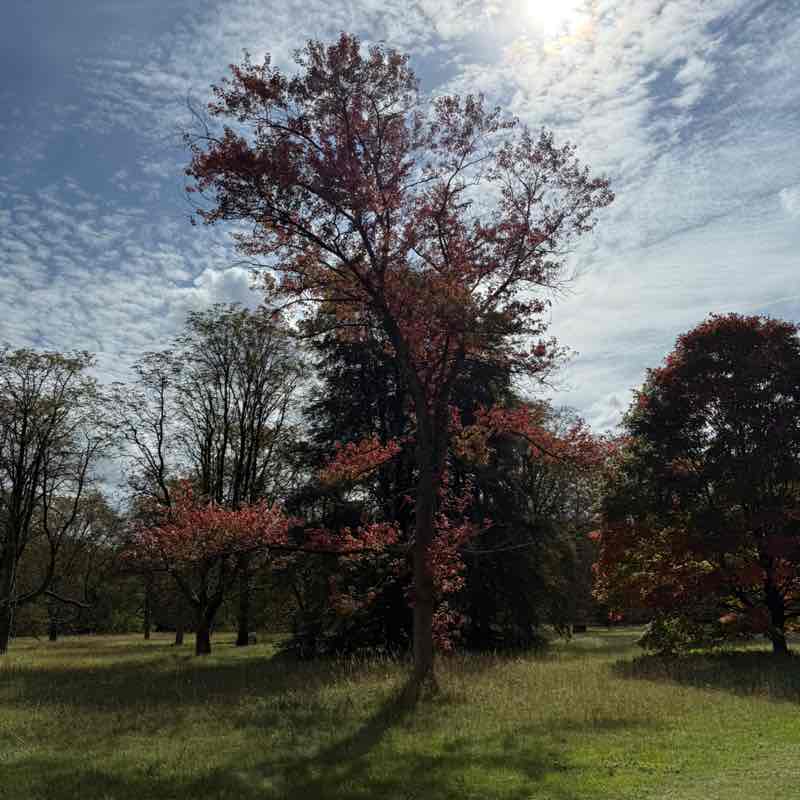 Anna Valsamaki post 1