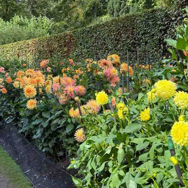 Anna Valsamaki post 3