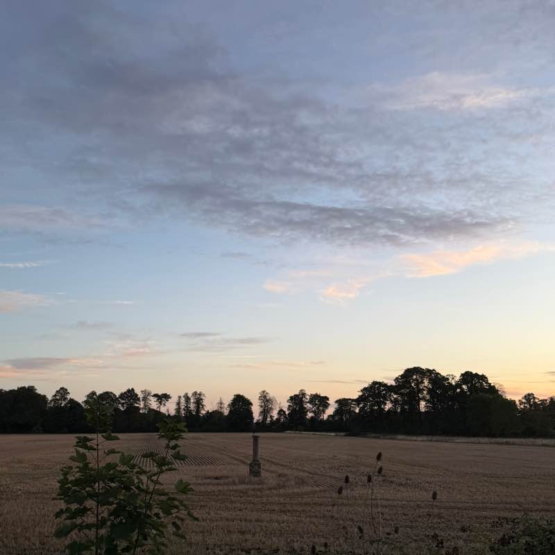 Anna Valsamaki post 2